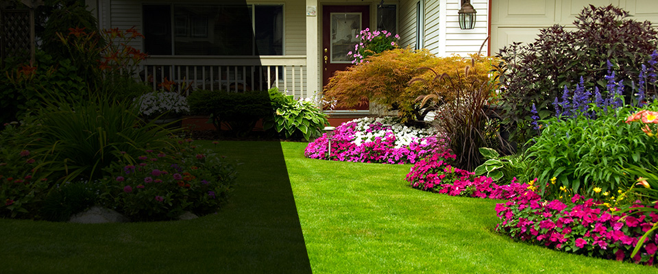 Rio Rico Landscapers