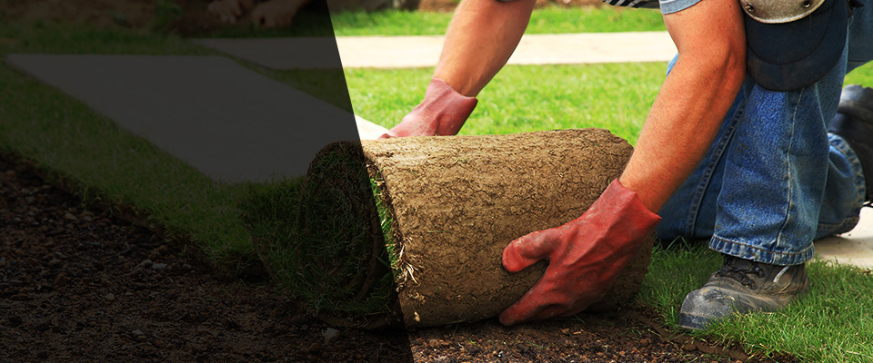 Rio Rico Landscapers